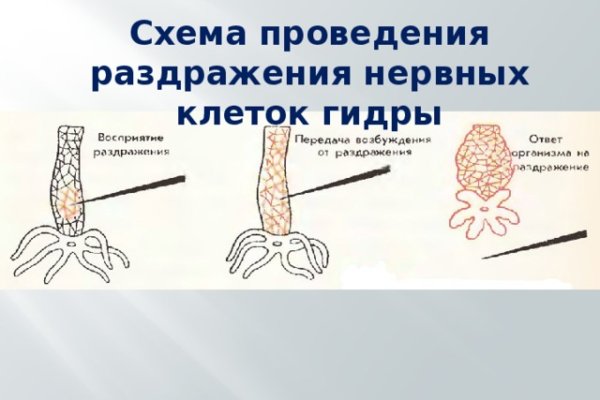 Kraken onion ссылка