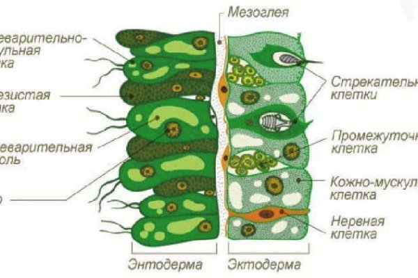 Кракен зеркало 2025